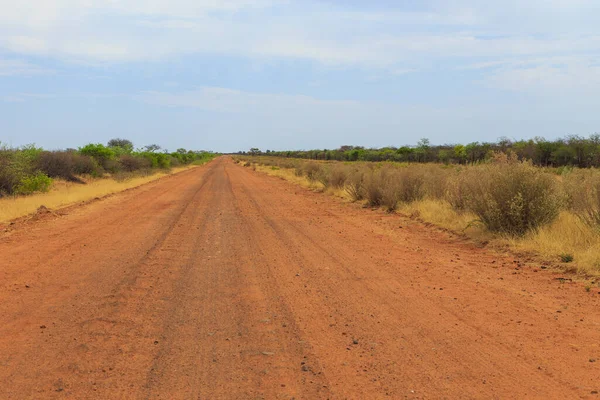 Gravel road to Waterberg Plateau National Park.Beautiful african landscape. Namibia.