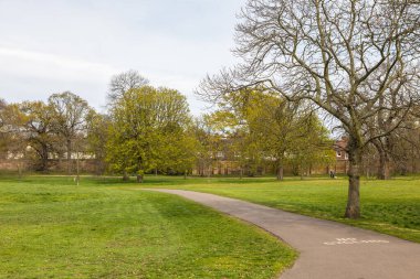İngiltere, Londra - 05 Nisan 2019: Greenwich Park 'ta bir ara sokak. Londra Kraliyet Parklarından biri..