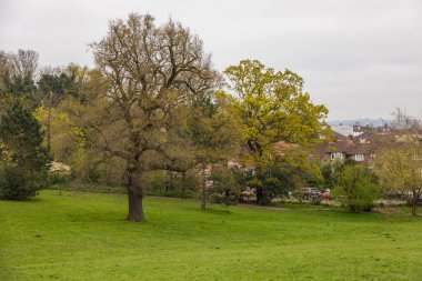 Londra, İngiltere - 06 Nisan 2019: Norwood Grove, Londra Croydon İlçesi 'nin kuzey sınırındaki bir süs kent parkı. Halk bahçesi ve park.