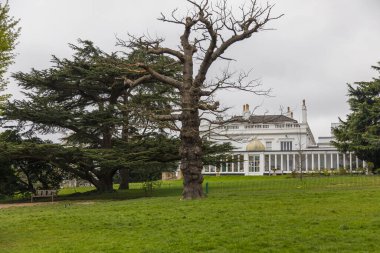 Londra, İngiltere - 06 Nisan 2019: Norwood Grove, Londra Croydon İlçesi 'nin kuzey sınırındaki bir süs kent parkı. Halk bahçesi ve park.