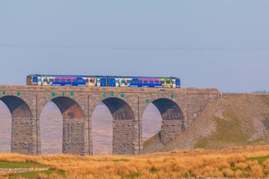 Cumbria 'daki Ribblehead Viaduct manzarası. Yorkshire Dales 'deki yeşil tepeler, kırsal alan, Kuzey İngiltere.