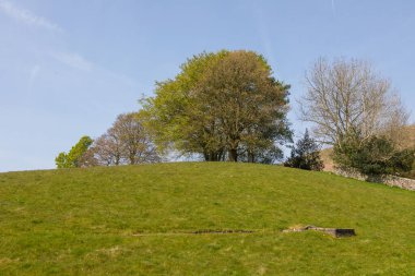Sedbergh köyündeki bahçelerin manzarası. Güneşli bir bahar günü. Sedbergh, Yorkshire Dales, İngiltere