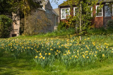 Sedbergh köyünün binalarının manzarası. Güzel bahçe. Güneşli bir bahar günü. Sedbergh, Yorkshire Dales, İngiltere