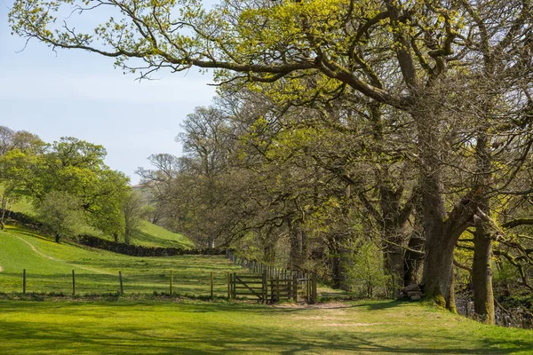 Stock image View of the gardens in the Sedbergh village. Sunny spring day. Sedbergh, Yorkshire Dales, UK