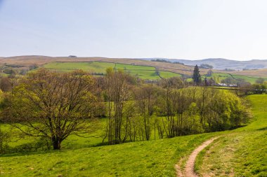 Yorkshire Dales, Sedbergh, Cumbria 'daki yeşil tepelerin manzarası. Kırsal alan, Kuzey İngiltere.