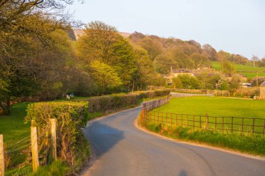 Yorkshire Dales, Sedbergh, Cumbria 'daki yeşil tepelerin manzarası. Kırsal alan, Kuzey İngiltere.