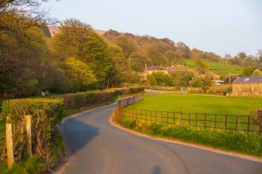 Yorkshire Dales, Sedbergh, Cumbria 'daki yeşil tepelerin manzarası. Kırsal alan, Kuzey İngiltere.