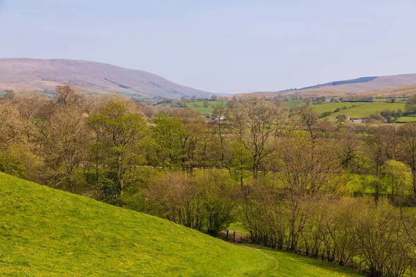 Vista Das Colinas Verdes Yorkshire Dales Sedbergh Cumbria Paisagem Rural — Fotografia de Stock