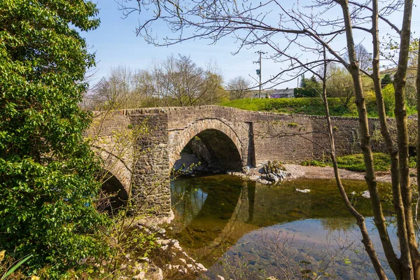 Ponte Pietra Sul Fiume Rawthey Sedbergh Stagione Primaverile Yorkshire Regno — Foto Stock