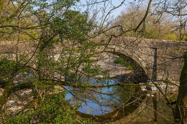 Eine Steinbrücke Über Den Rawthey River Sedbergh Frühlingszeit Yorkshire Großbritannien — Stockfoto