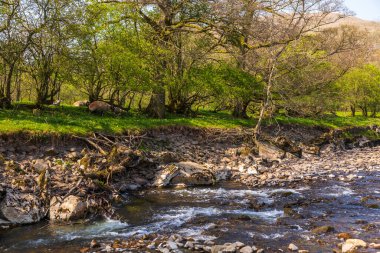 Sedbergh, Yorkshire Dales, Cumbria 'daki Rawthey Nehri manzarası. Kuzey İngiltere 'de güzel bir manzara..