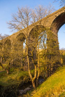 Cumbria 'daki Ribblehead Viaduct manzarası. Yorkshire Dales 'deki yeşil tepeler, kırsal alan, Kuzey İngiltere.
