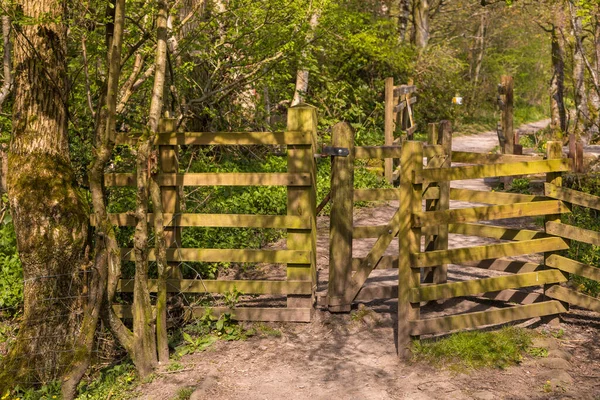 stock image View of the gardens in the Sedbergh village. Wooden fence. Sunny spring day. Sedbergh, Yorkshire Dales, UK