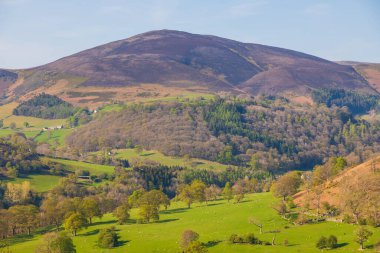 Llangollen kasabasındaki yeşil tepelerin manzarası. Güneşli bir bahar günü. Llangollen, Denbighshire, Galler, İngiltere.