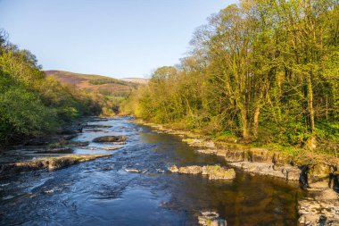 Llangollen, Denbighshire, Galler 'deki Dee Nehri manzarası. Güzel manzara, İngiltere.