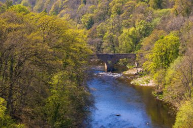Llangollen, Denbighshire, Galler 'deki Dee Nehri manzarası. Güzel manzara, İngiltere.