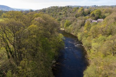 Llangollen, Denbighshire, Galler 'deki Dee Nehri manzarası. Güzel manzara, İngiltere.
