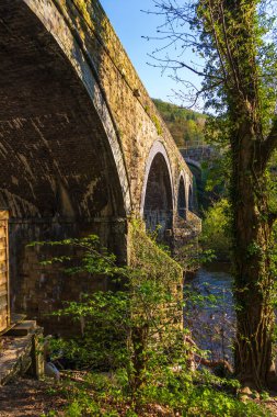 Llangollen yakınlarındaki Horseshoe Şelalesi 'nin yanındaki Dee nehri üzerindeki köprü. Llangollen, Denbighshire, Galler.