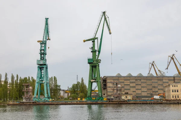 グダニスク ポーランド 5月2019 帝国造船所での港湾クレーンのビュー 背景に建物 — ストック写真
