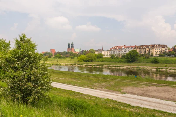 Poland Poznan Травня 2019 Вид Базиліку Архікафедрального Собору Святого Петра — стокове фото