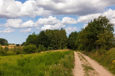Ormanın ortasındaki Glade Yolu. Bahar sezonu. Kashubia, Pomerania, Polonya.