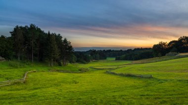 Kashubian çayırlarının manzarası. Yaz sezonu. Kazhubia, Polonya.