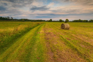Biçilmiş bir tarlada balyalar. Bzura Nehri Vadisi. Güzel gün batımı. Mazovia, Polonya.