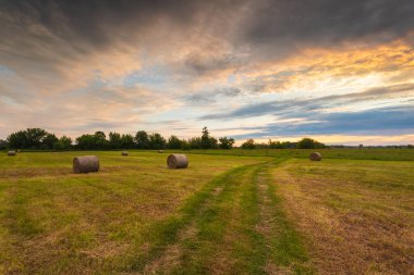 Biçilmiş bir tarlada balyalar. Bzura Nehri Vadisi. Güzel gün batımı. Mazovia, Polonya.