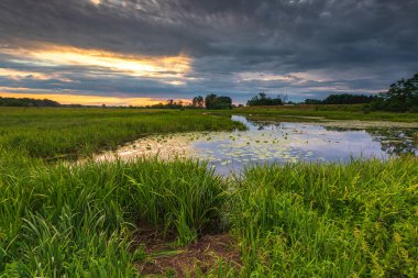 Kamion, Mazovia, Polonya 'daki Bzura nehrinin üzerinde güzel bir gün batımı.
