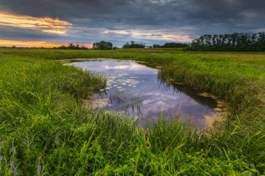 Kamion, Mazovia, Polonya 'daki Bzura nehrinin üzerinde güzel bir gün batımı.