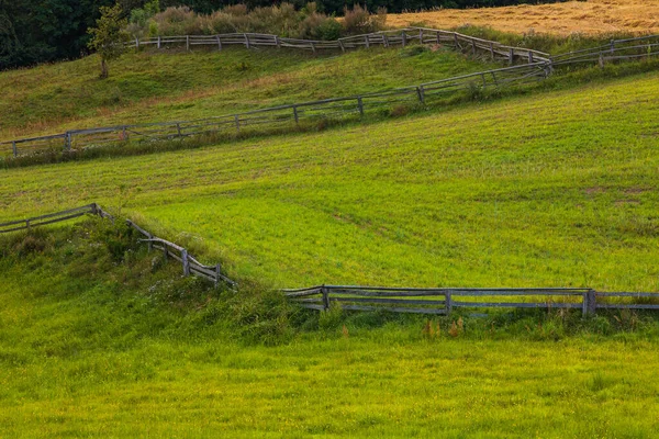 カシュビアの牧草地の眺め 夏のシーズン ポーランド カシュビア — ストック写真