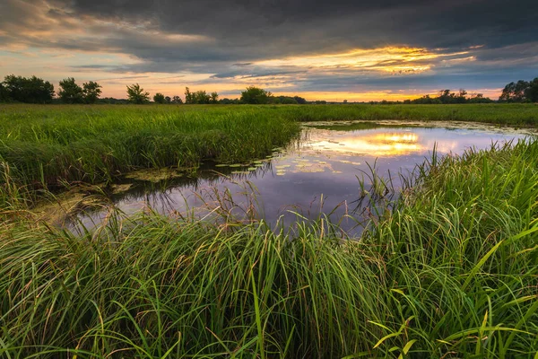 Kamion, Mazovia, Polonya 'daki Bzura nehrinin üzerinde güzel bir gün batımı.