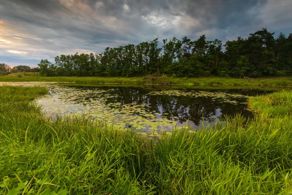 Kamion, Mazovia, Polonya 'daki Bzura nehrinin üzerinde güzel bir gün batımı.