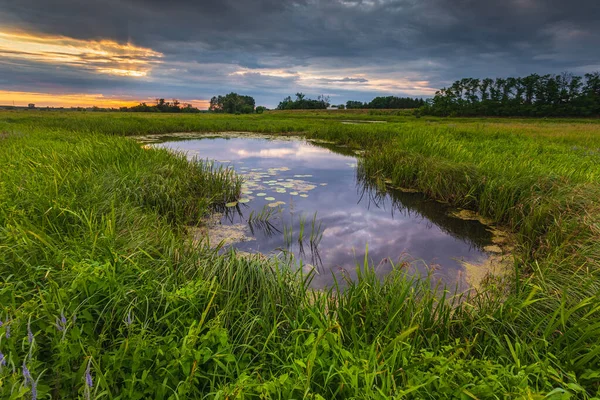 Kamion, Mazovia, Polonya 'daki Bzura nehrinin üzerinde güzel bir gün batımı.