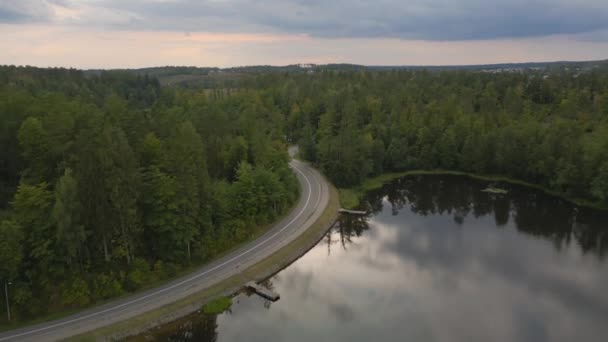 Aerial Shot Wegorzyno Lake Late Evening Scenery Moody Light Early — Wideo stockowe