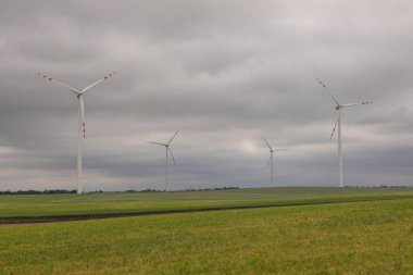 Tarlaların arasında yel değirmenleri. Bahar sezonu. Subkowy, Zulawy, Pomerania, Polonya.