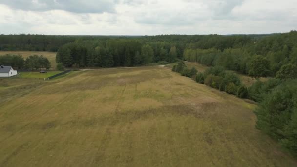 Letecký Pohled Krajinu Polsku Les Louky Pole — Stock video