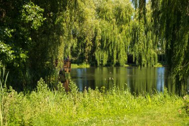 Orunia Park 'taki su birikintisi. Etrafta güzel bir ağaç var. Gdansk, Polonya.