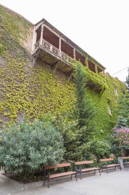 Tiflis İlahiyat Fakültesi, Ruhsal Eğitim Kurumu. Georgia.