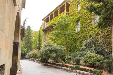 Tiflis İlahiyat Fakültesi, Ruhsal Eğitim Kurumu. Georgia.