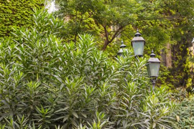 Tiflis şehrinde dekoratif fenerli güzel bir park. Georgia.
