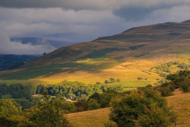 View of the green hills in Yorkshire Dales, Cumbria. Sheep grazing in the pasture. Rural landscape, north UK.