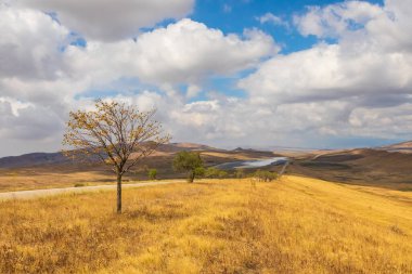 Gürcistan 'daki Udabno bozkırının manzarası. Sarı-altın otlar, yabani arazi ve çakıl yolu. Sonsuz tarlalar. Arka planda dağ.