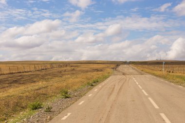 Gürcistan 'daki Udabno bozkırının manzarası. Sarı-altın otlar, yabani arazi ve çakıl yolu. Sonsuz tarlalar. Udabno, Gürcistan.