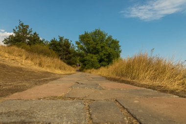 Çayırların arasındaki patika. Arka planda ağaçlar var. Sevan Gölü bölgesi. Ermenistan.