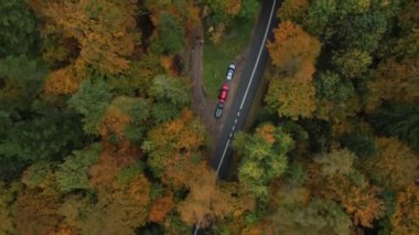 Sonbaharda, Polonya 'nın Kashubian Gölü bölgesinde dolambaçlı bir yol..