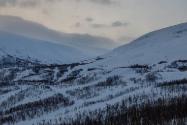 Snowy landscape in winter sunny day time. Abisko National Park, Mountain in the background. Bjorkliden, Lapland, Sweden.