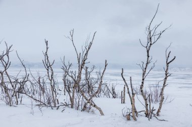 Snowy landscape in winter time. Abisko, Swedish Lapland.