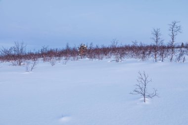 İsveç Laponya 'sında güzel bir kış sabahı, Kiruna yakınlarında. Avrupa.