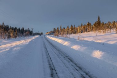 Karlı bir yol, ağaçlarla çevrili huzurlu bir kış manzarasında ve yumuşak akşam ışığında esiyor. Jukkasjarvi, Laponya, İsveç.